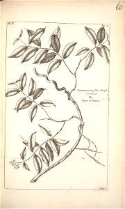 n161_w1150