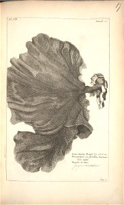 n115_w1150