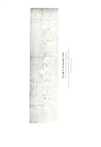 n558_w1150