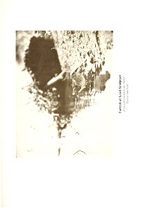 n302_w1150