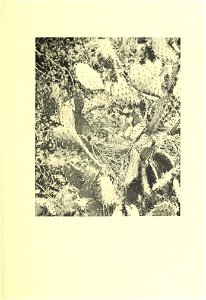 n172_w1150