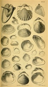 n566_w1150