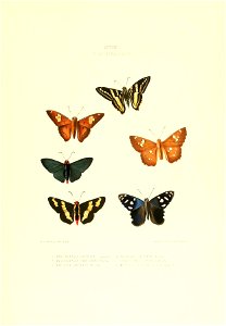 n386_w1150