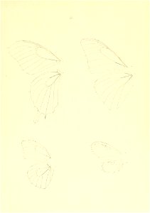 n268_w1150