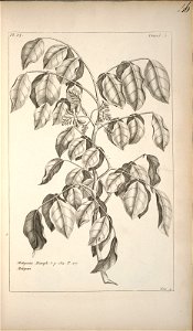 n46_w1150