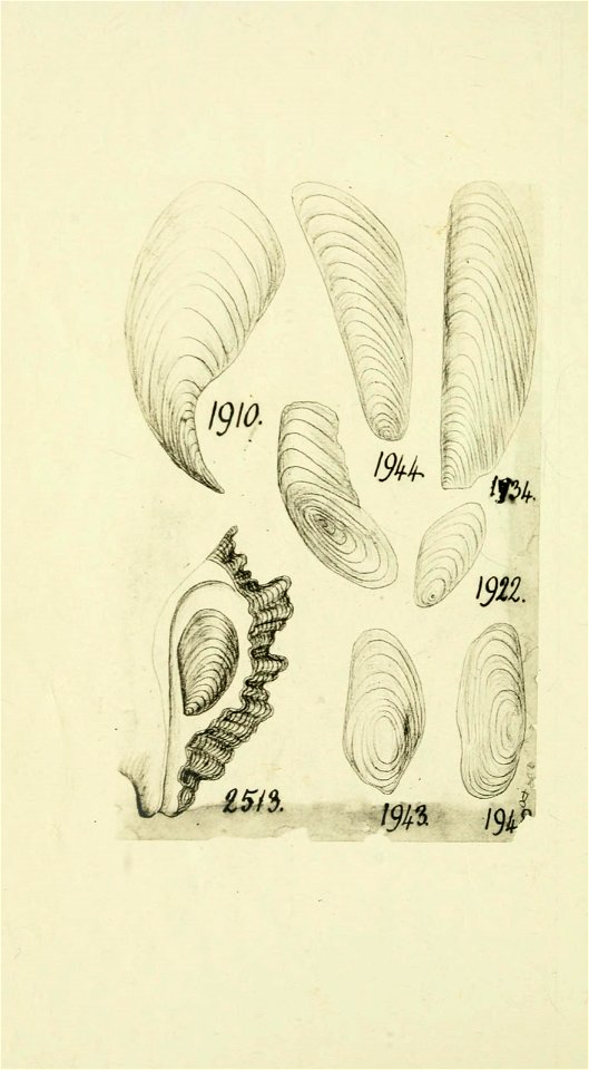 n273_w1150