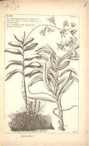 n106_w1150