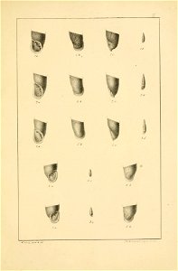 n154_w1150