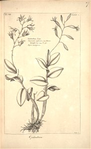 n105_w1150