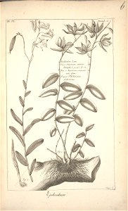 n104_w1150
