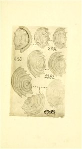 n254_w1150