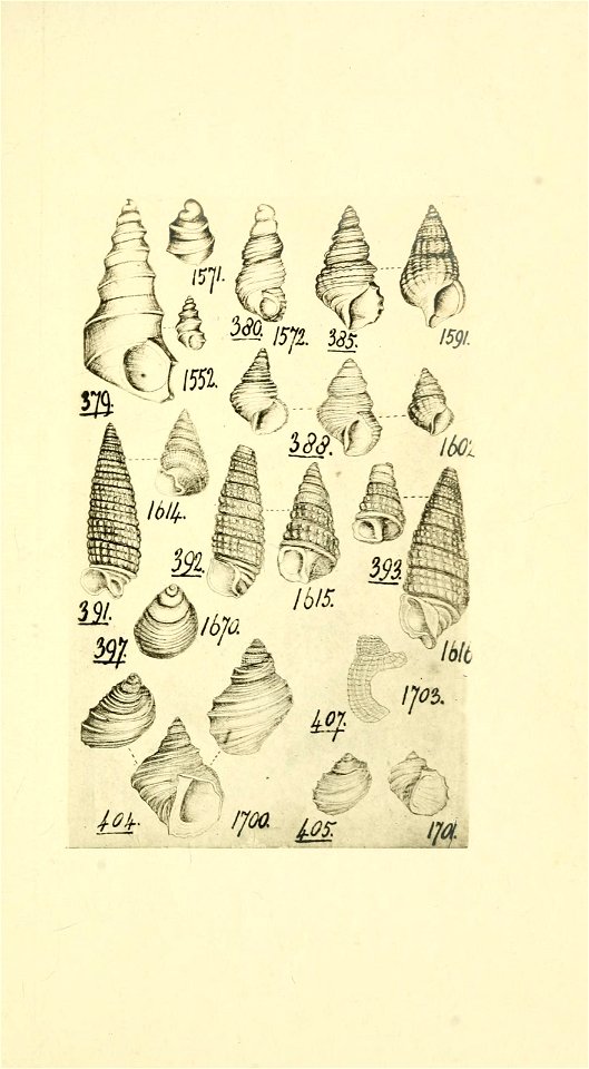 n190_w1150