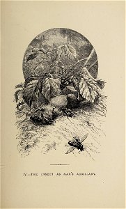 n166_w1150