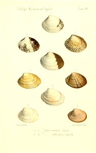 n458_w1150