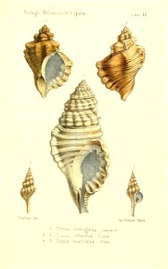 n398_w1150