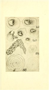 n158_w1150