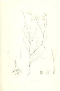 n630_w1150