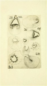 n153_w1150