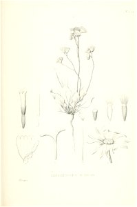 n628_w1150
