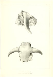 n136_w1150