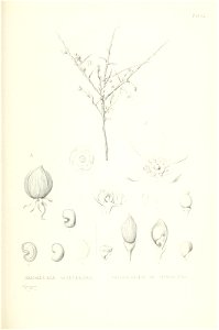 n626_w1150