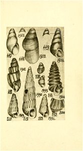 n206_w1150
