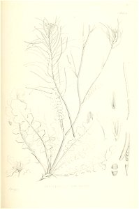 n624_w1150