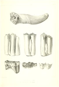 n132_w1150