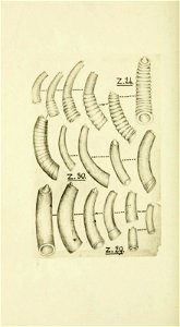 n321_w1150