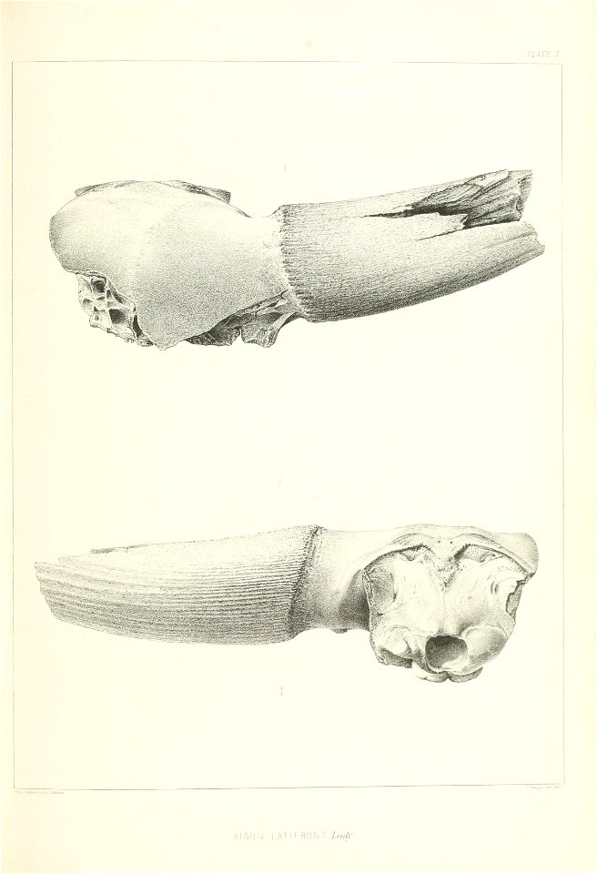 n130_w1150