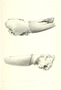n130_w1150