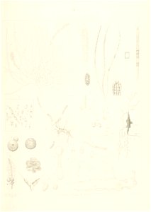 n108_w1150