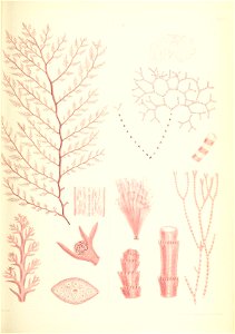 n498_w1150