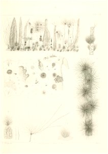 n104_w1150