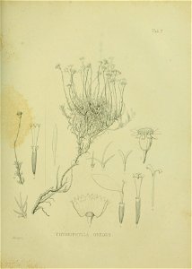 n544_w1150
