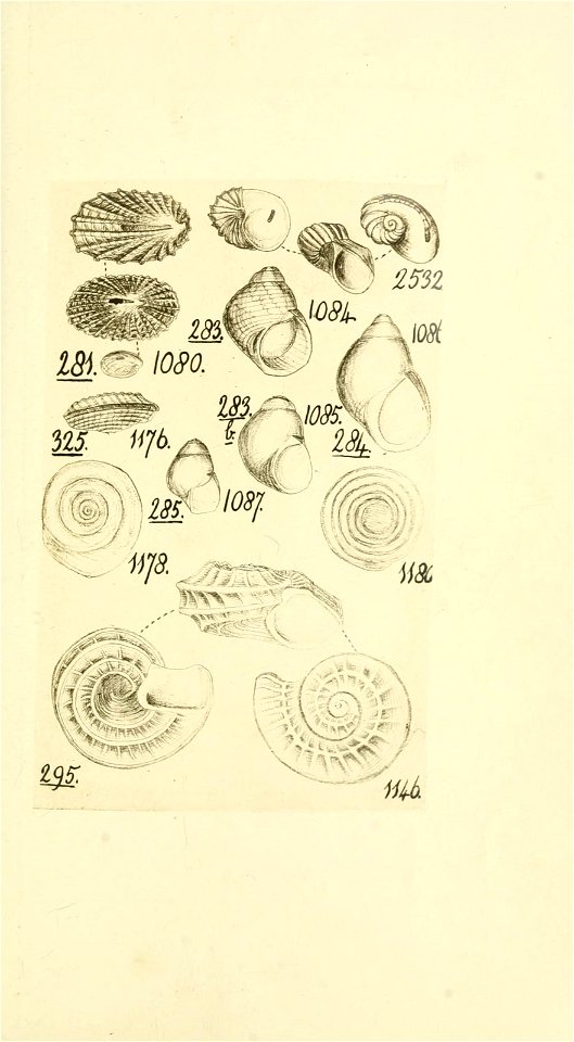n126_w1150