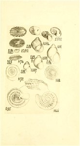 n126_w1150