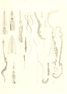 n102_w1150