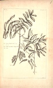 n99_w1150