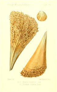 n526_w1150