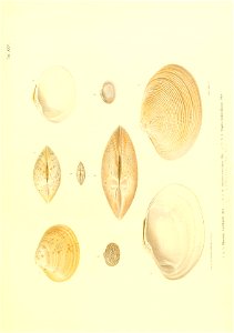 n202_w1150