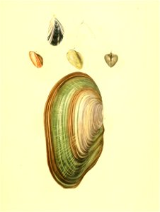n364_w1150