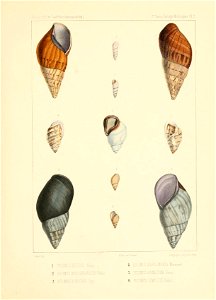 n122_w1150