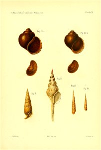 n186_w1150