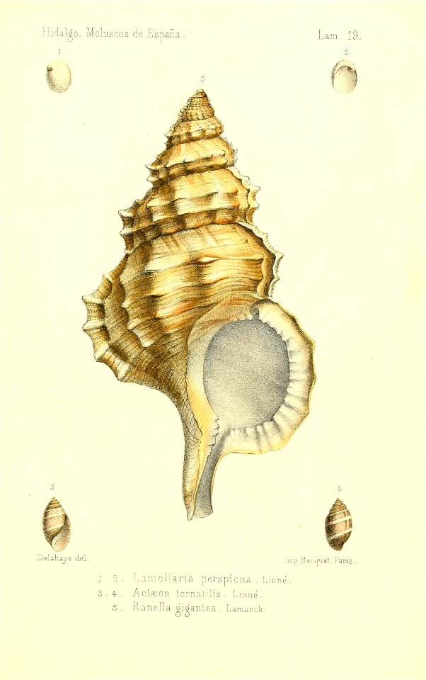 n404_w1150