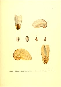 n170_w1150