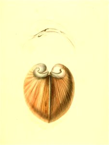 n362_w1150