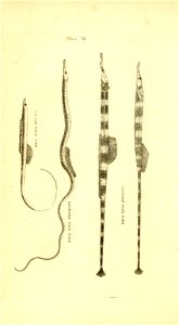 n183_w1150