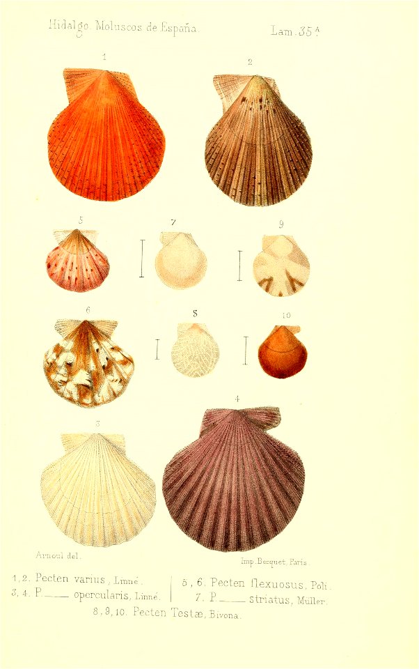 n552_w1150