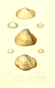 n522_w1150